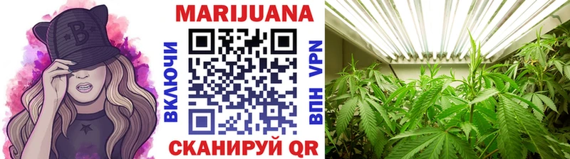 Шишки марихуана Bruce Banner  Купить где  Болохово 